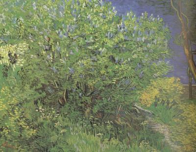 Vincent Van Gogh Lilacs (nn04) Sweden oil painting art